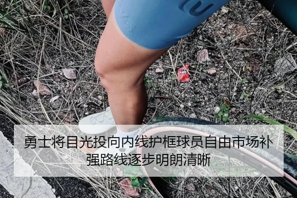 勇士将目光投向内线护框球员自由市场补强路线逐步明朗清晰